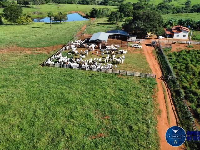 Venda em zona rural - Heitoraí