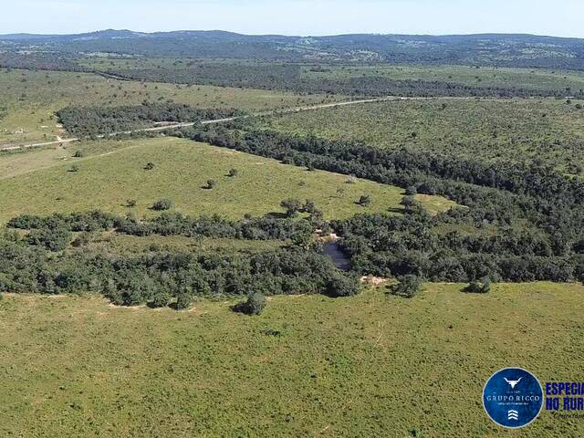 #3447 - Fazenda para Venda em Pontal do Araguaia - MT