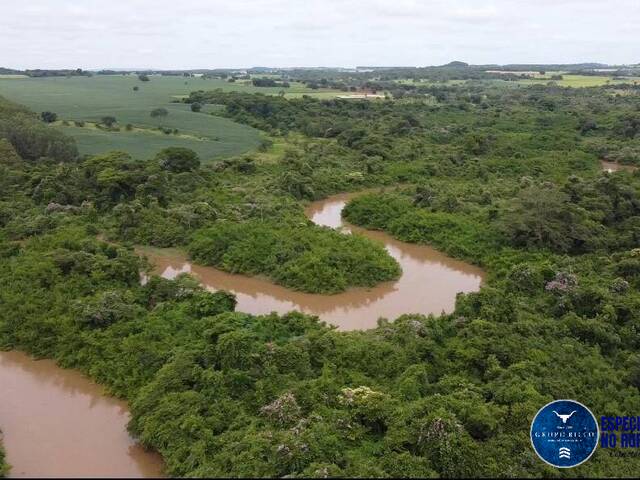 #3445 - Fazenda para Venda em Guapó - GO