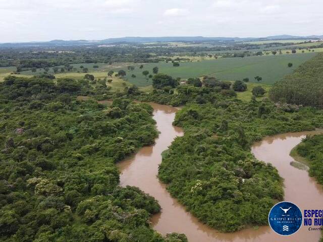 Fazenda para Venda em Guapó - 5