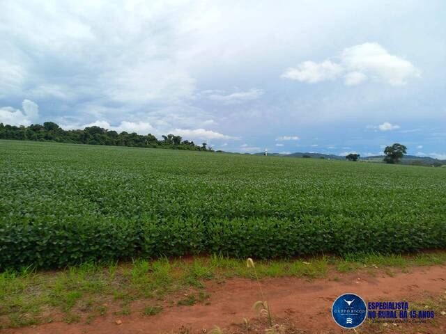 #3461 - Fazenda para Venda em Itaberaí - GO