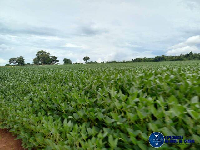 #3461 - Fazenda para Venda em Itaberaí - GO