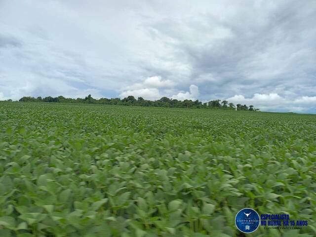 Fazenda para Venda em Itaberaí - 5