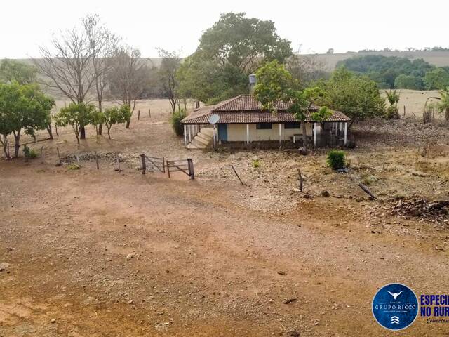 #3462 - Fazenda para Venda em Ipameri - GO