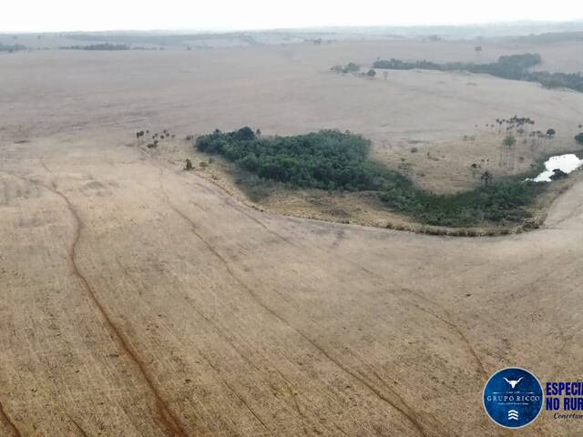 #3462 - Fazenda para Venda em Ipameri - GO