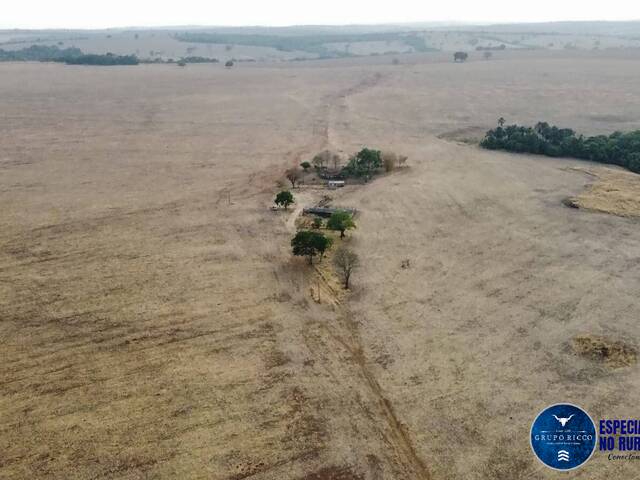 Fazenda para Venda em Ipameri - 5