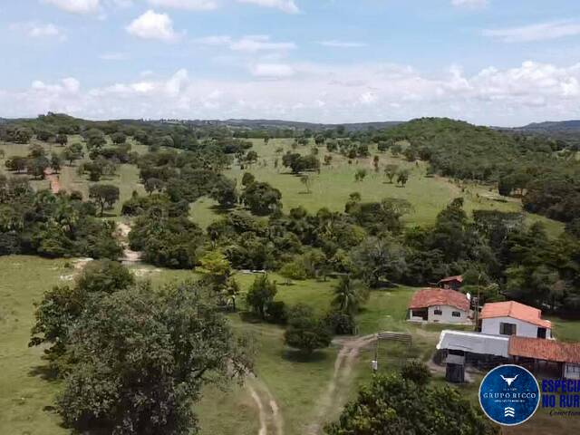 #3463 - Fazenda para Venda em Matrinchã - GO