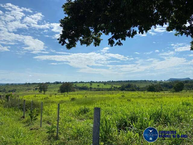 #3473 - Fazenda para Venda em Torixoréu - MT
