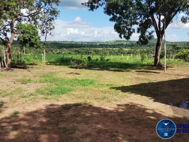 #3480 - Fazenda para Venda em Fazenda Nova - GO