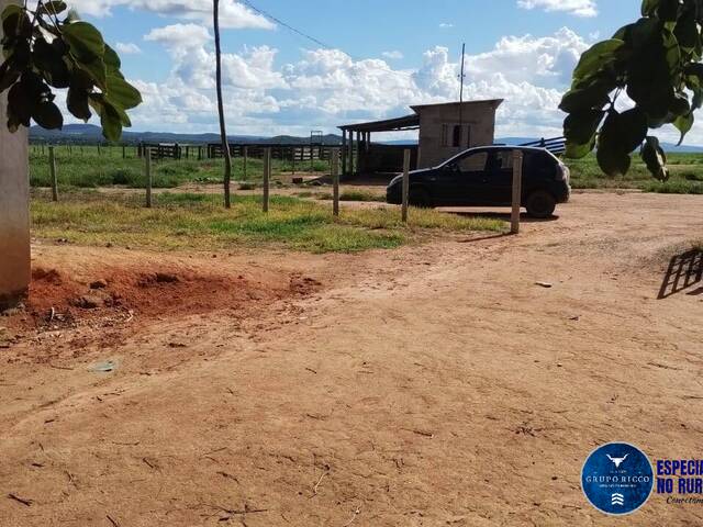 #3480 - Fazenda para Venda em Fazenda Nova - GO