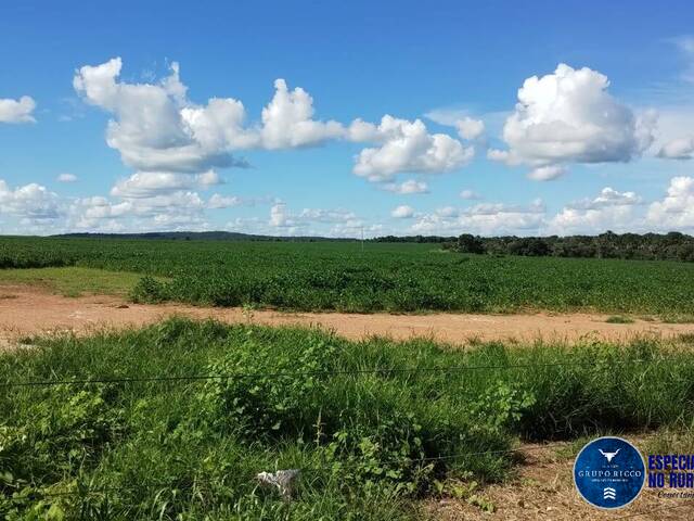 Venda em zona rural - Fazenda Nova