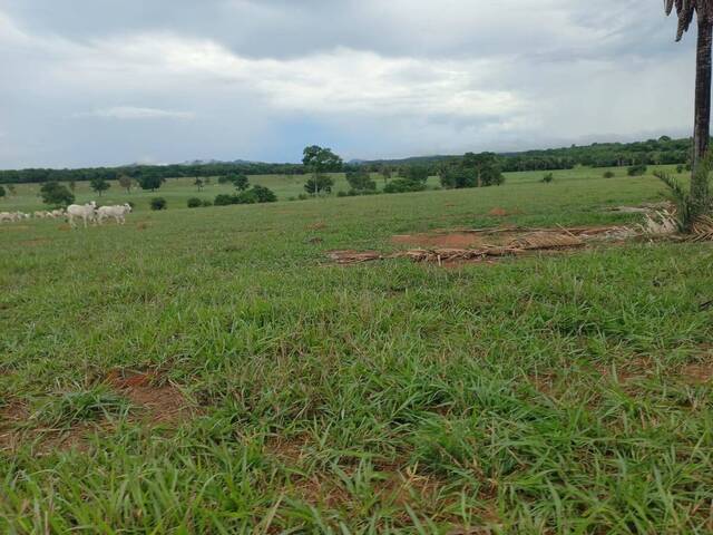 #3481 - Fazenda para Venda em Novo Brasil - GO
