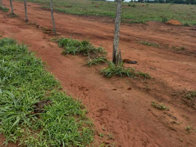 #3481 - Fazenda para Venda em Novo Brasil - GO