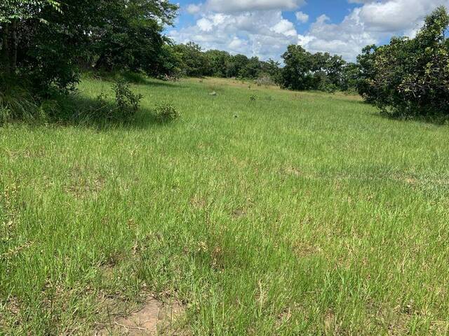 #3482 - Fazenda para Venda em Britânia - GO