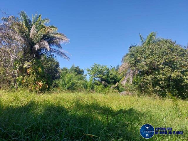 Fazenda para Venda em Aruanã - 5