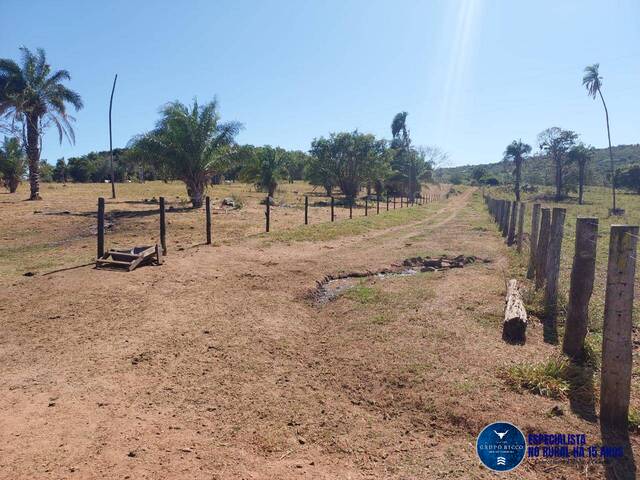 #3491 - Fazenda para Venda em Aruanã - GO
