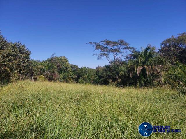 #3491 - Fazenda para Venda em Aruanã - GO