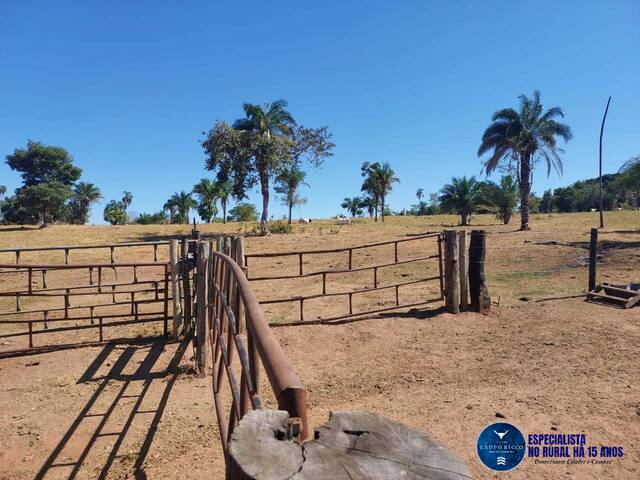 #3491 - Fazenda para Venda em Aruanã - GO