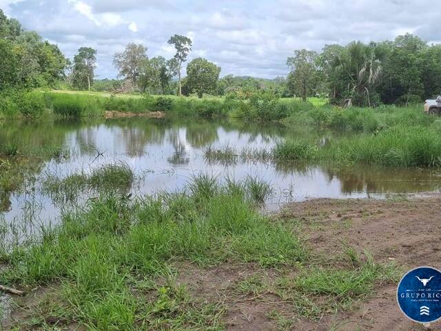 #3492 - Fazenda para Venda em Crixás - GO