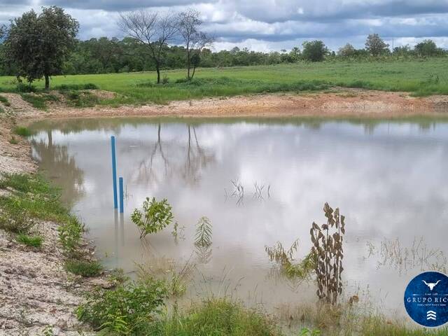 #3492 - Fazenda para Venda em Crixás - GO