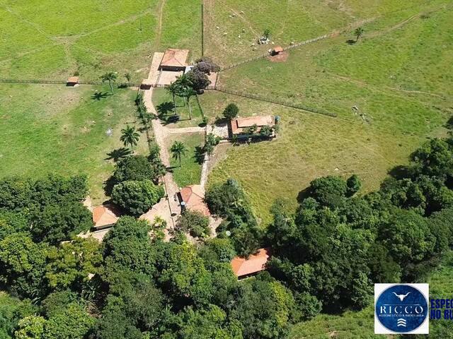 #3494 - Fazenda para Venda em Sanclerlândia - GO