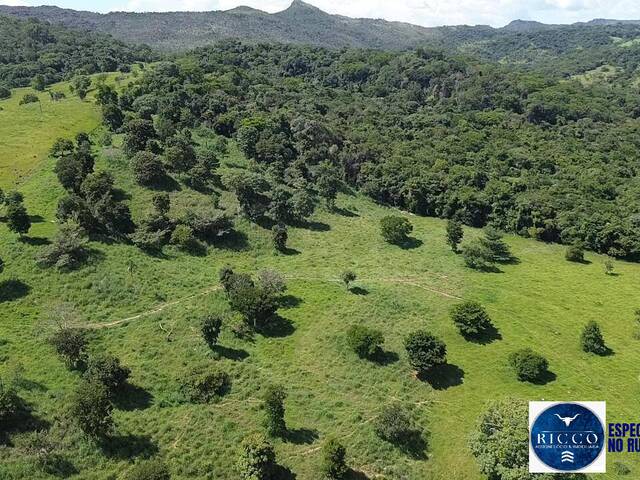 #3494 - Fazenda para Venda em Sanclerlândia - GO