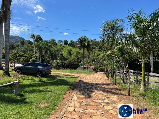 Fazenda para Venda em Sanclerlândia - 5