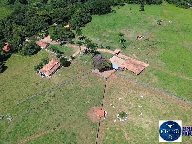 #3494 - Fazenda para Venda em Sanclerlândia - GO