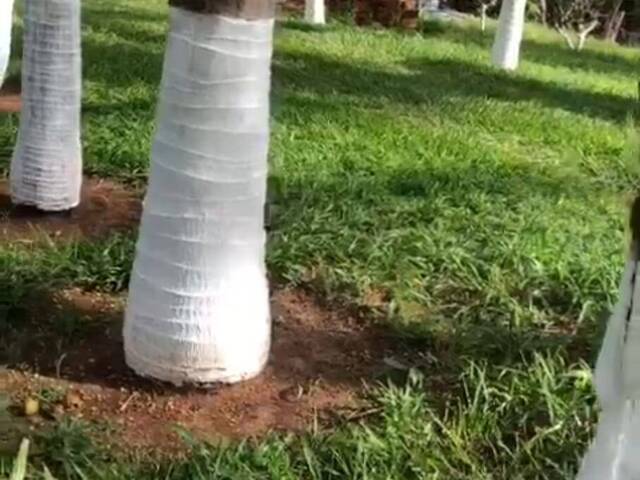 #3495 - Chácara para Venda em Inhumas - GO