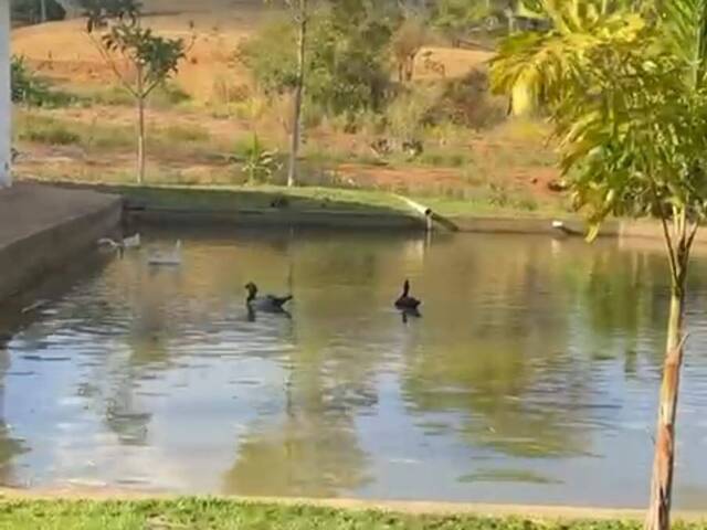 Venda em zona rural - Inhumas