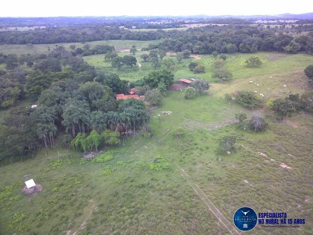 #3499 - Fazenda para Venda em Faina - GO