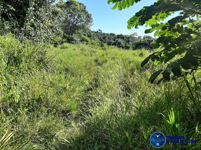 #3500 - Fazenda para Venda em Itapuranga - GO