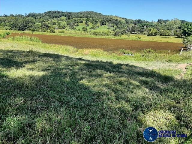 #3500 - Fazenda para Venda em Itapuranga - GO