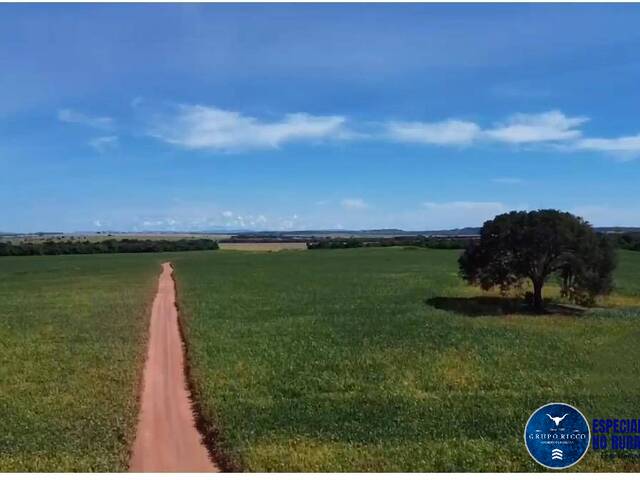#3502 - Fazenda para Venda em Padre Bernardo - GO