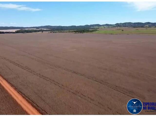 #3502 - Fazenda para Venda em Padre Bernardo - GO