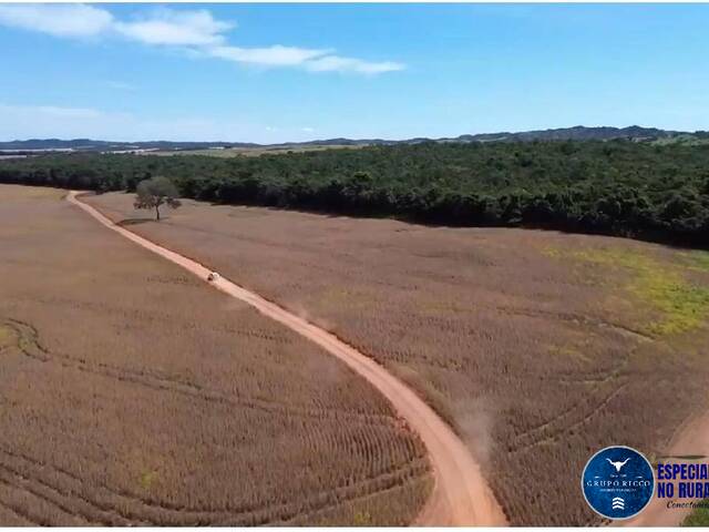 #3502 - Fazenda para Venda em Padre Bernardo - GO