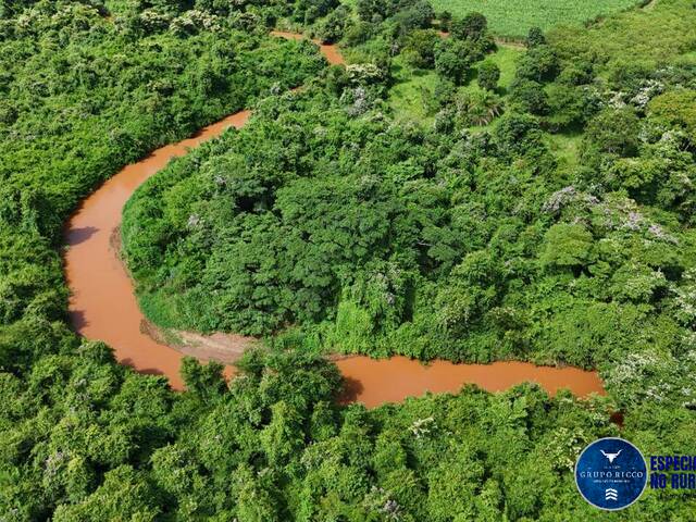 #3503 - Fazenda para Venda em Goianésia - GO
