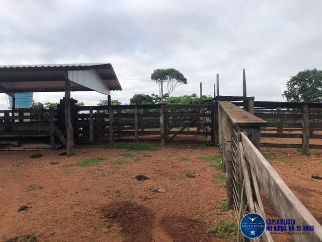 #3505 - Fazenda para Venda em Fazenda Nova - GO