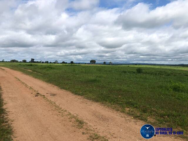 #3505 - Fazenda para Venda em Fazenda Nova - GO