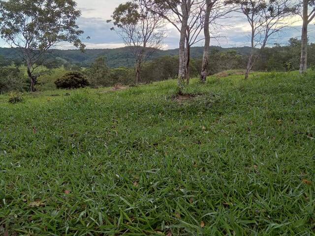 #3509 - Chácara para Venda em Santa Cruz de Goiás - GO