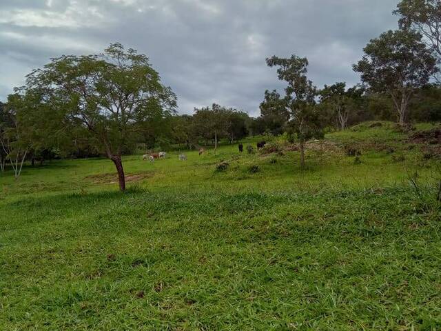 #3509 - Chácara para Venda em Santa Cruz de Goiás - GO