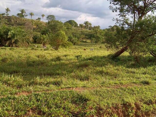 #3512 - Fazenda para Venda em Caldas Novas - GO