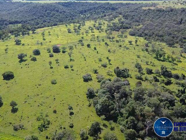 #3511 - Sítio para Venda em Bela Vista de Goiás - GO
