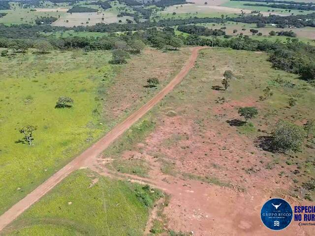#3511 - Sítio para Venda em Bela Vista de Goiás - GO