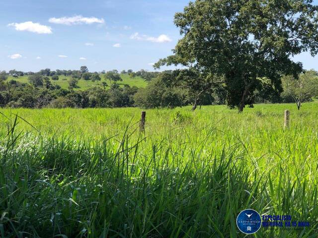 #3513 - Fazenda para Venda em Torixoréu - MT