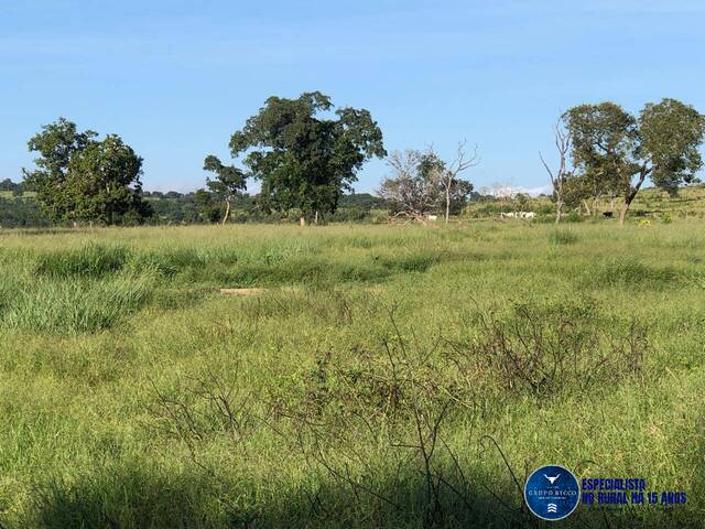#3513 - Fazenda para Venda em Torixoréu - MT