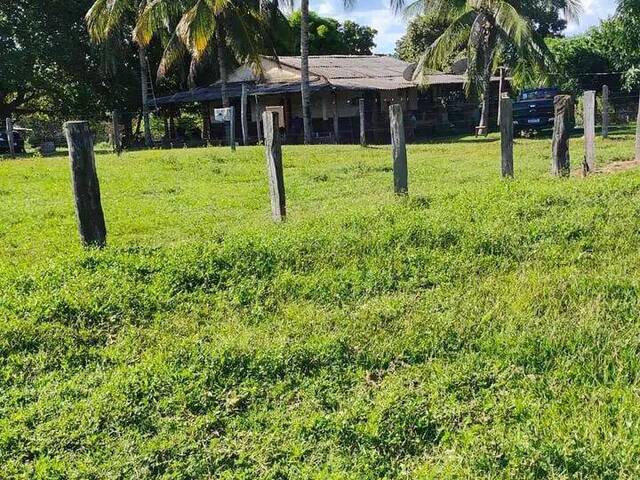 #3514 - Fazenda para Venda em Torixoréu - MT