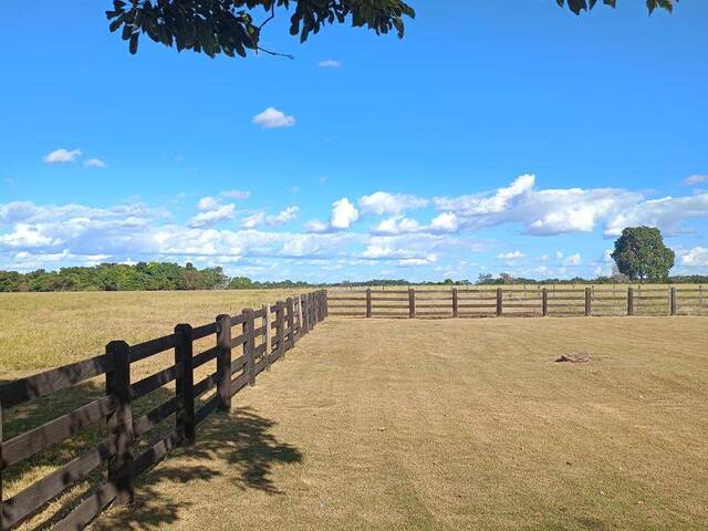 #3515 - Fazenda para Venda em Novo Mundo - MT