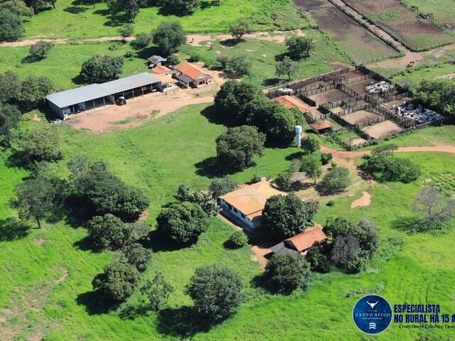 #3516 - Fazenda para Venda em Uirapuru - GO