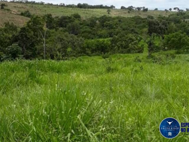 #3518 - Fazenda para Venda em Doverlândia - GO
